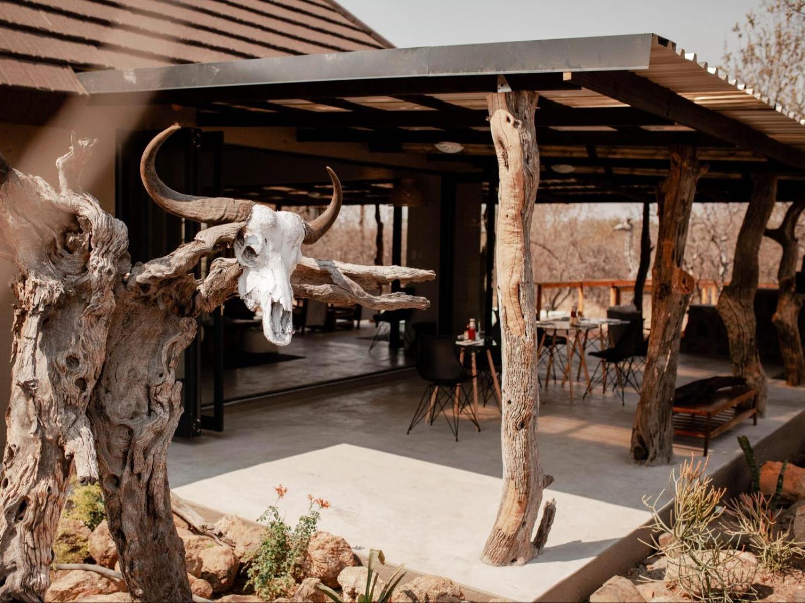 Maroelani Lodge- Greater Kruger Private Reserve Hoedspruit Exteriér fotografie
