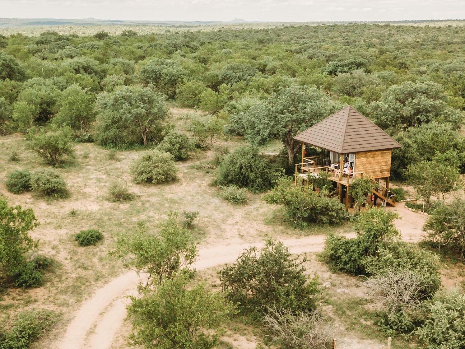 Maroelani Lodge- Greater Kruger Private Reserve Hoedspruit Pokoj fotografie